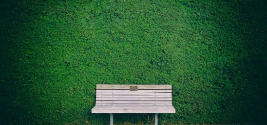 Nachbar kann Heckenschnitt verlangen