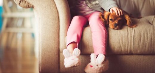 So bekommen Sie Baukindergeld