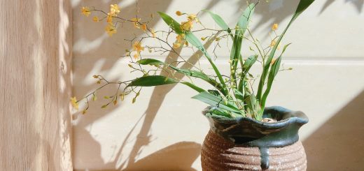 Dekoration des Hausflurs kann erlaubt sein